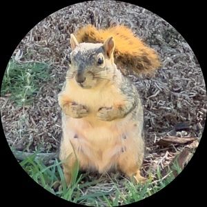 Meet your Posher, Yuan